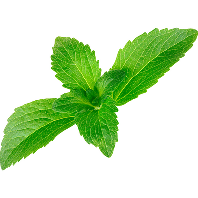 Stevia Leaf